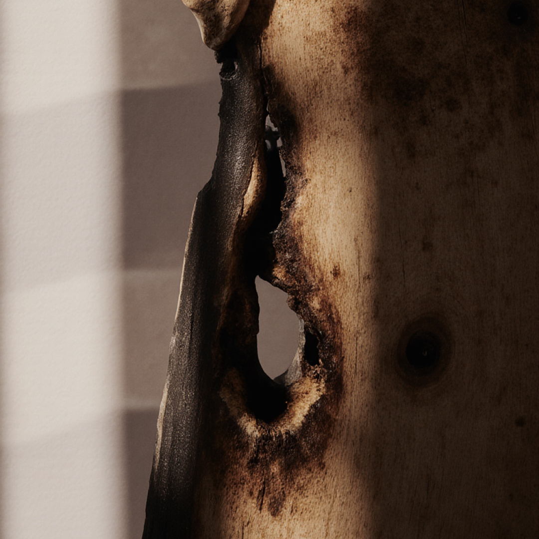 Fragment drewna cedru atlaskiego – drzewna baza wkładu zapachowego Epure